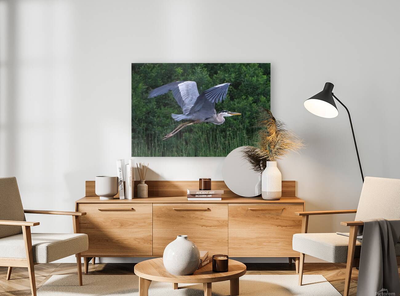 Bird Photography    Reproduction