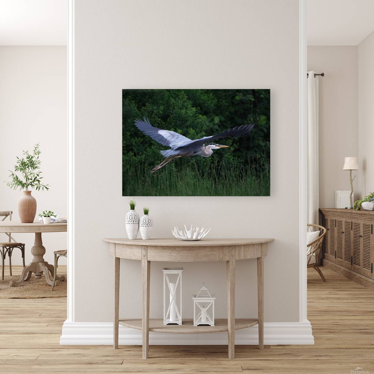 Bird Photography    Reproduction