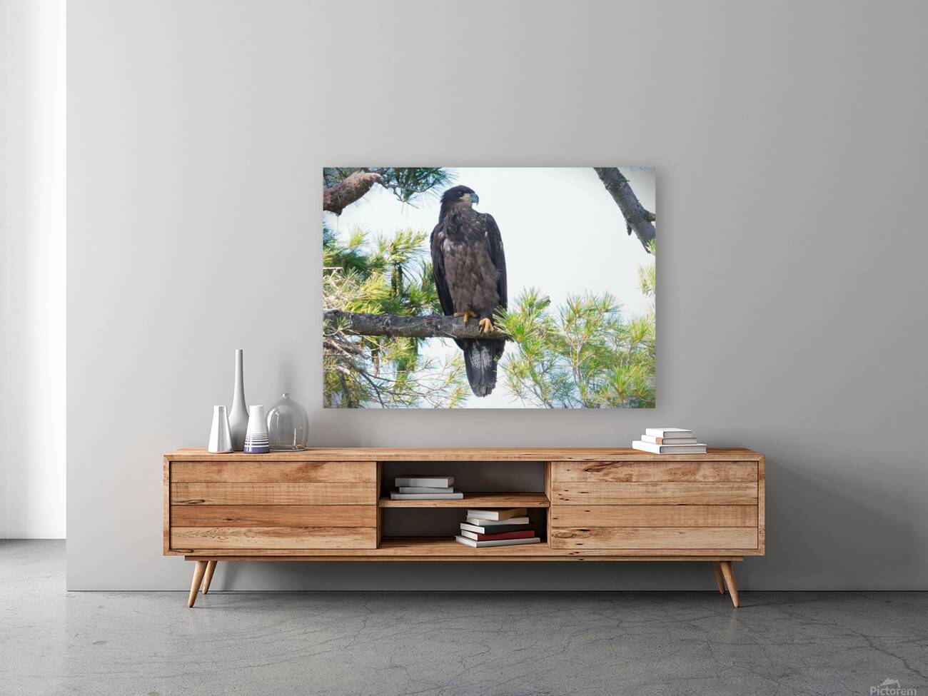 Bird Photography    Reproduction