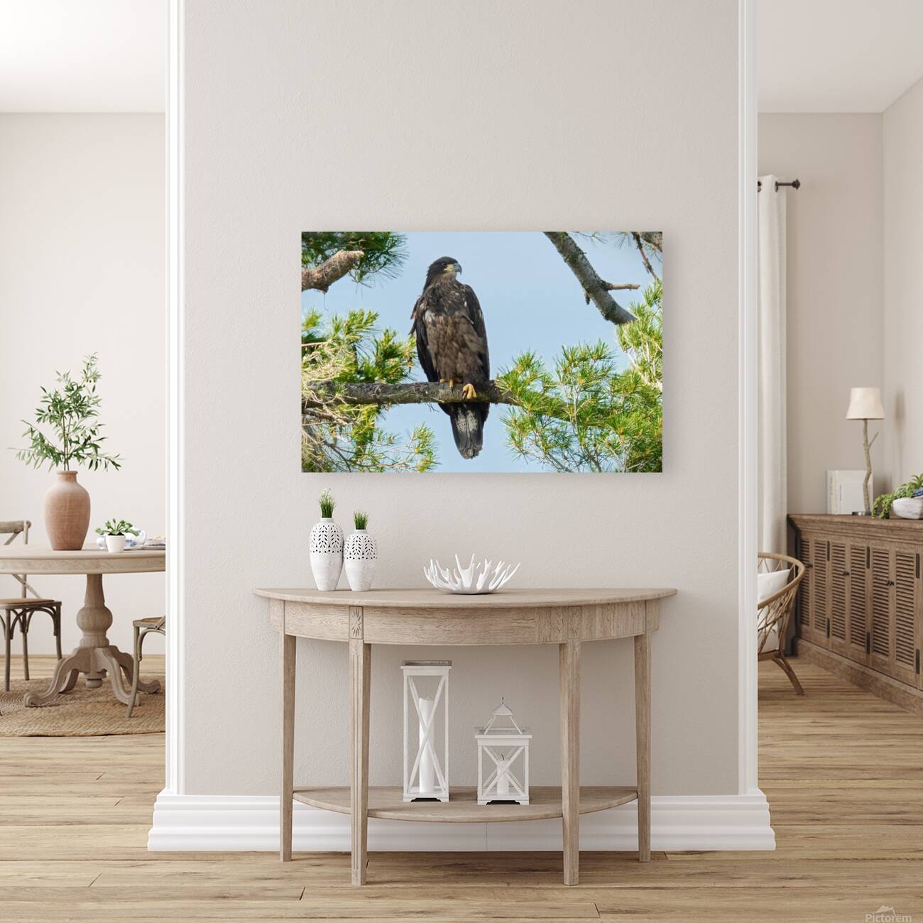 Bird Photography    Reproduction