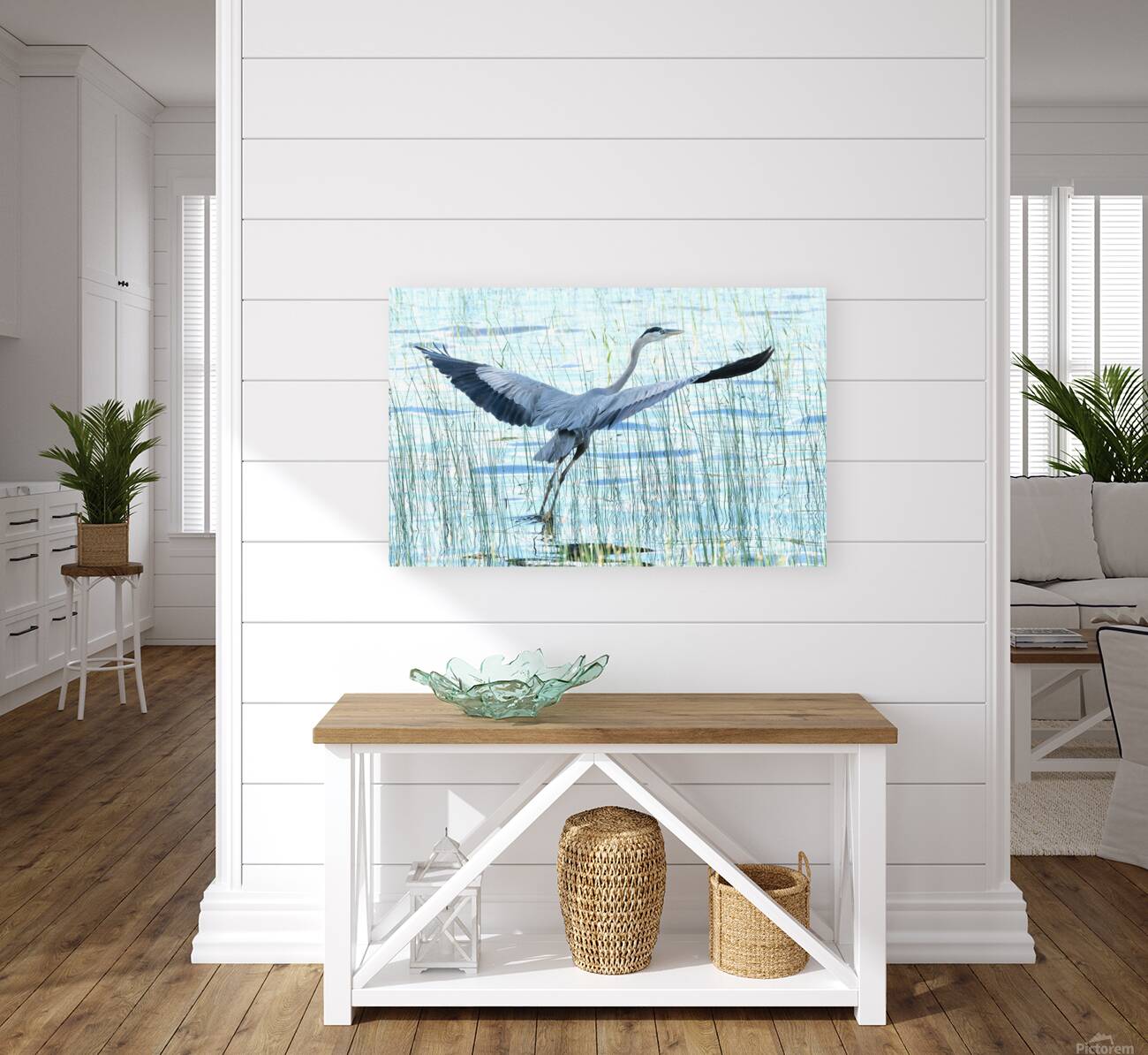 Bird Photography    Reproduction