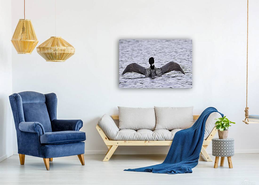 Bird Photography    Reproduction