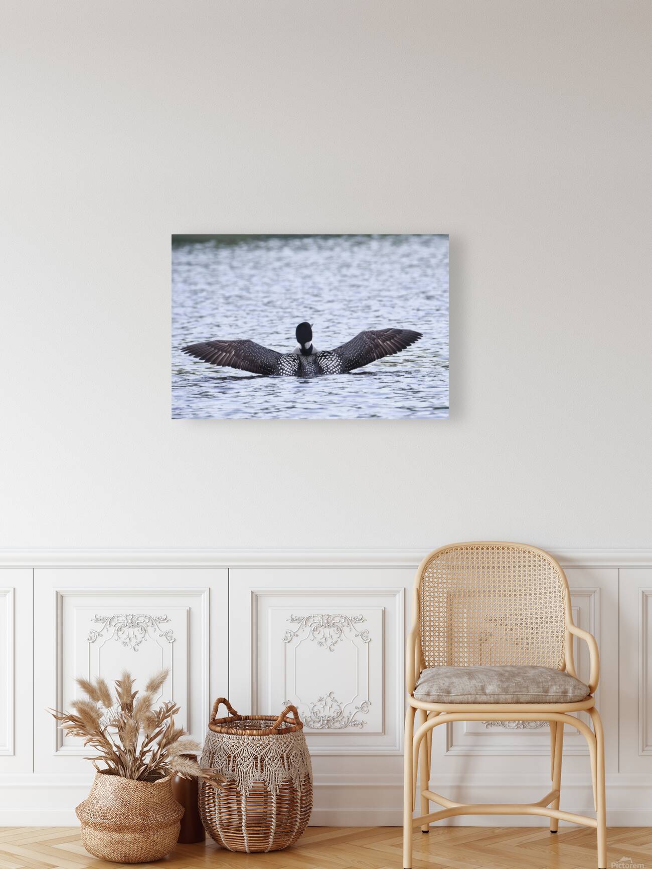 Bird Photography    Reproduction