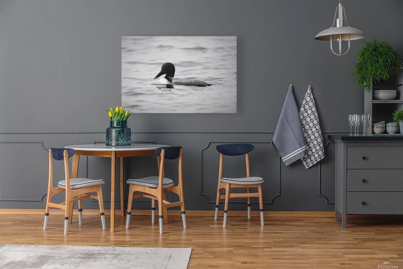 Bird Photography    Reproduction