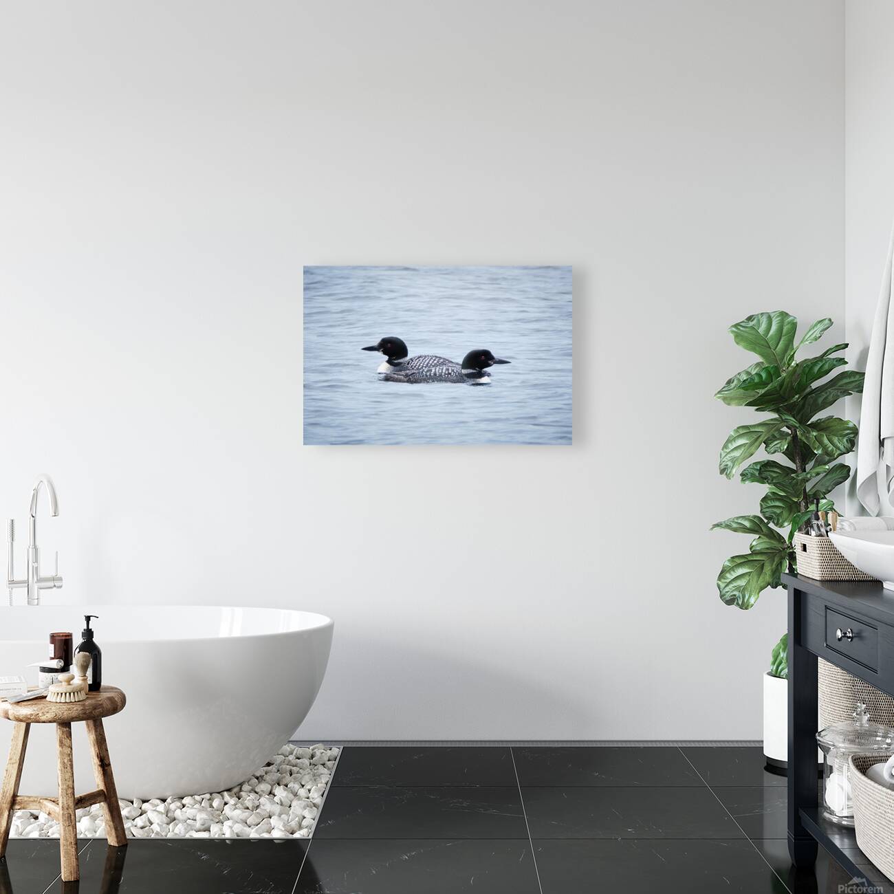 Bird Photography    Reproduction
