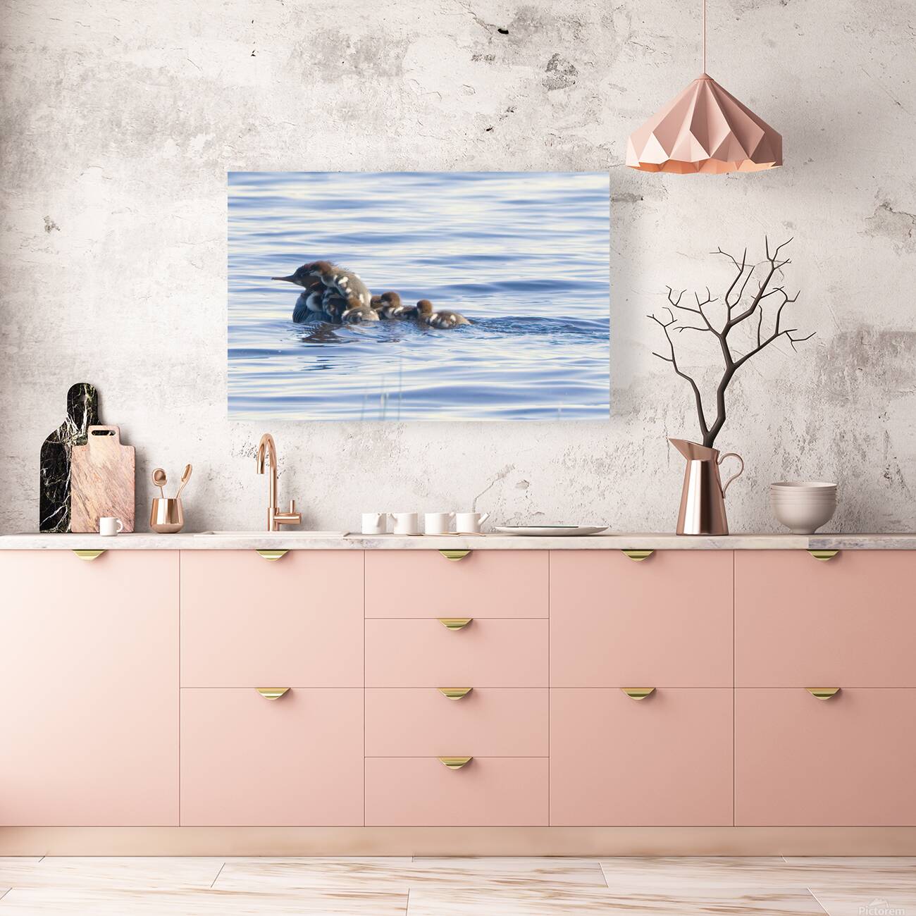 Bird Photography    Reproduction