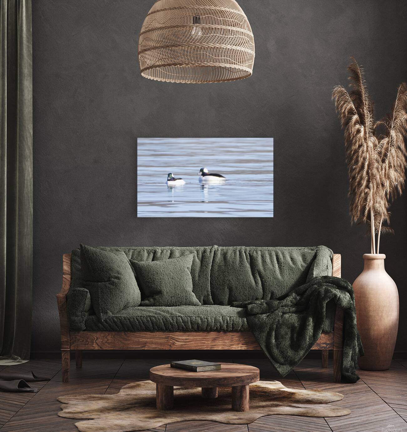 Bird Photography    Reproduction