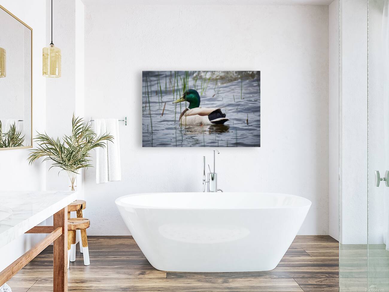 Bird Photography    Reproduction