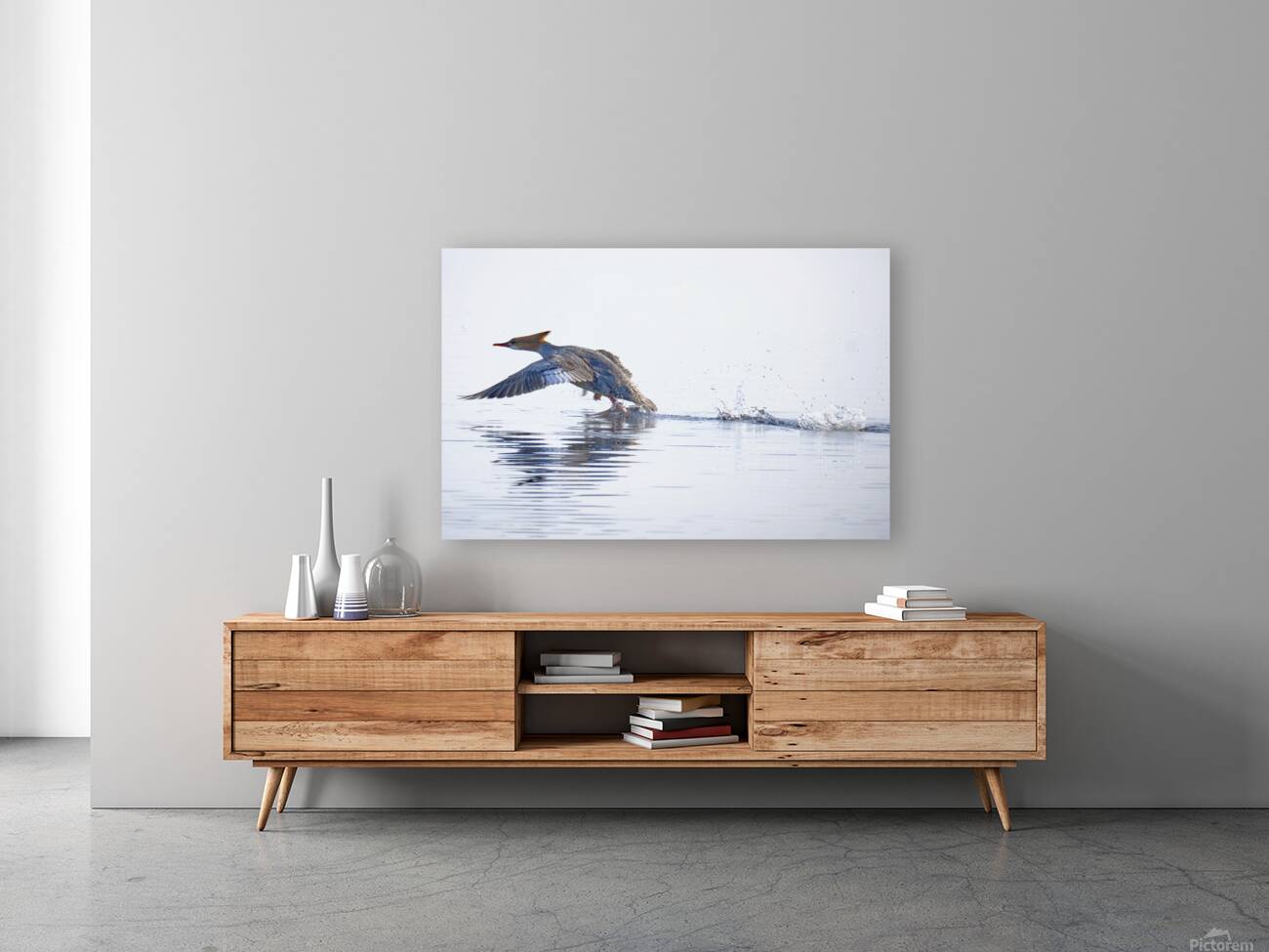 Bird Photography    Reproduction