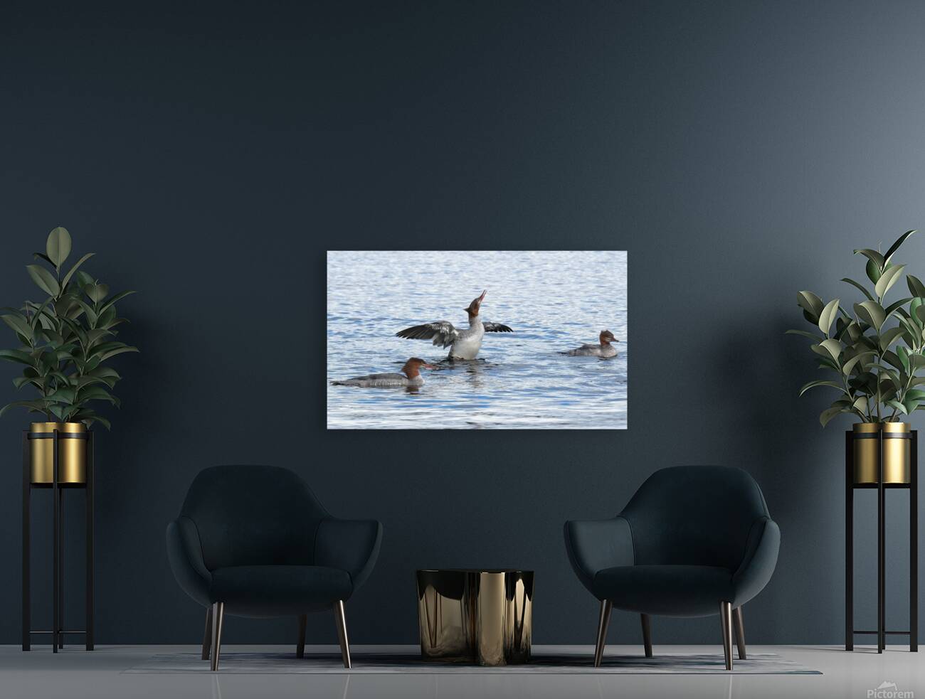 Bird Photography    Reproduction