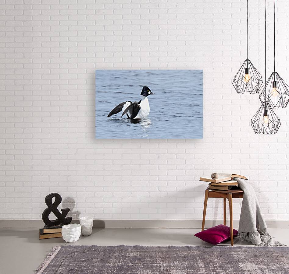 Bird Photography    Reproduction