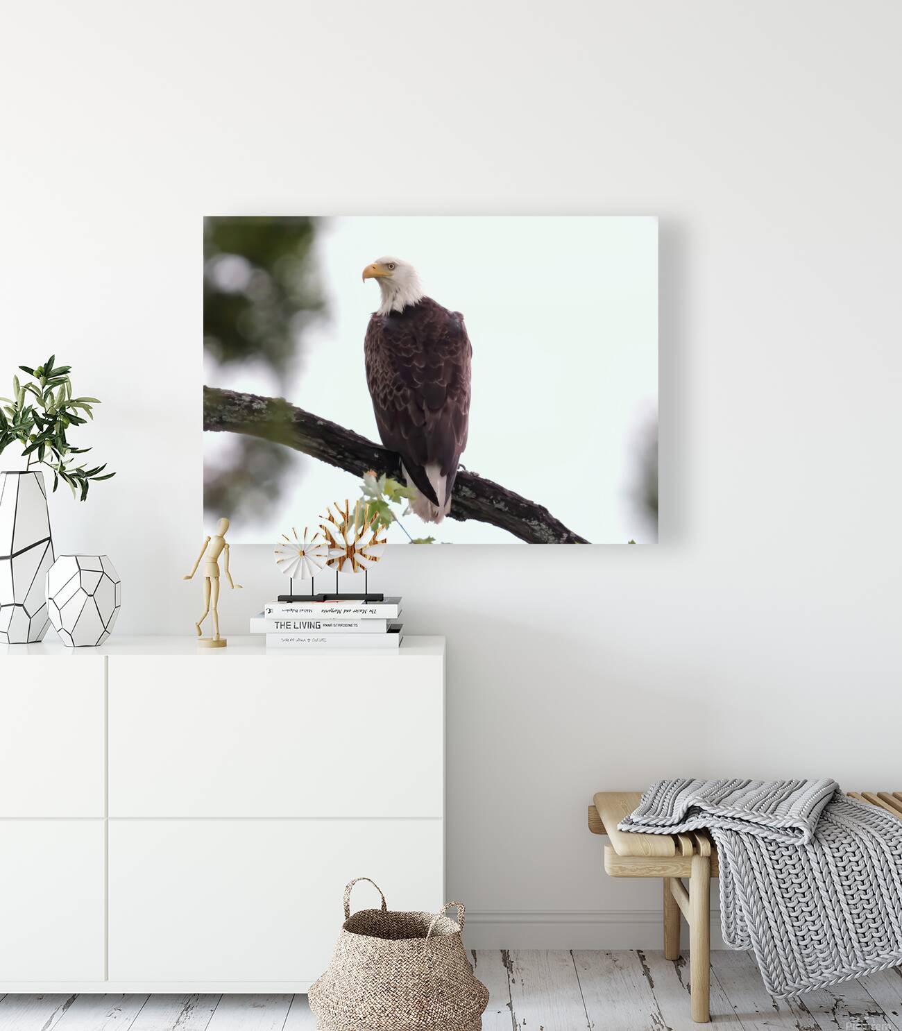 Bird Photography   Reproduction