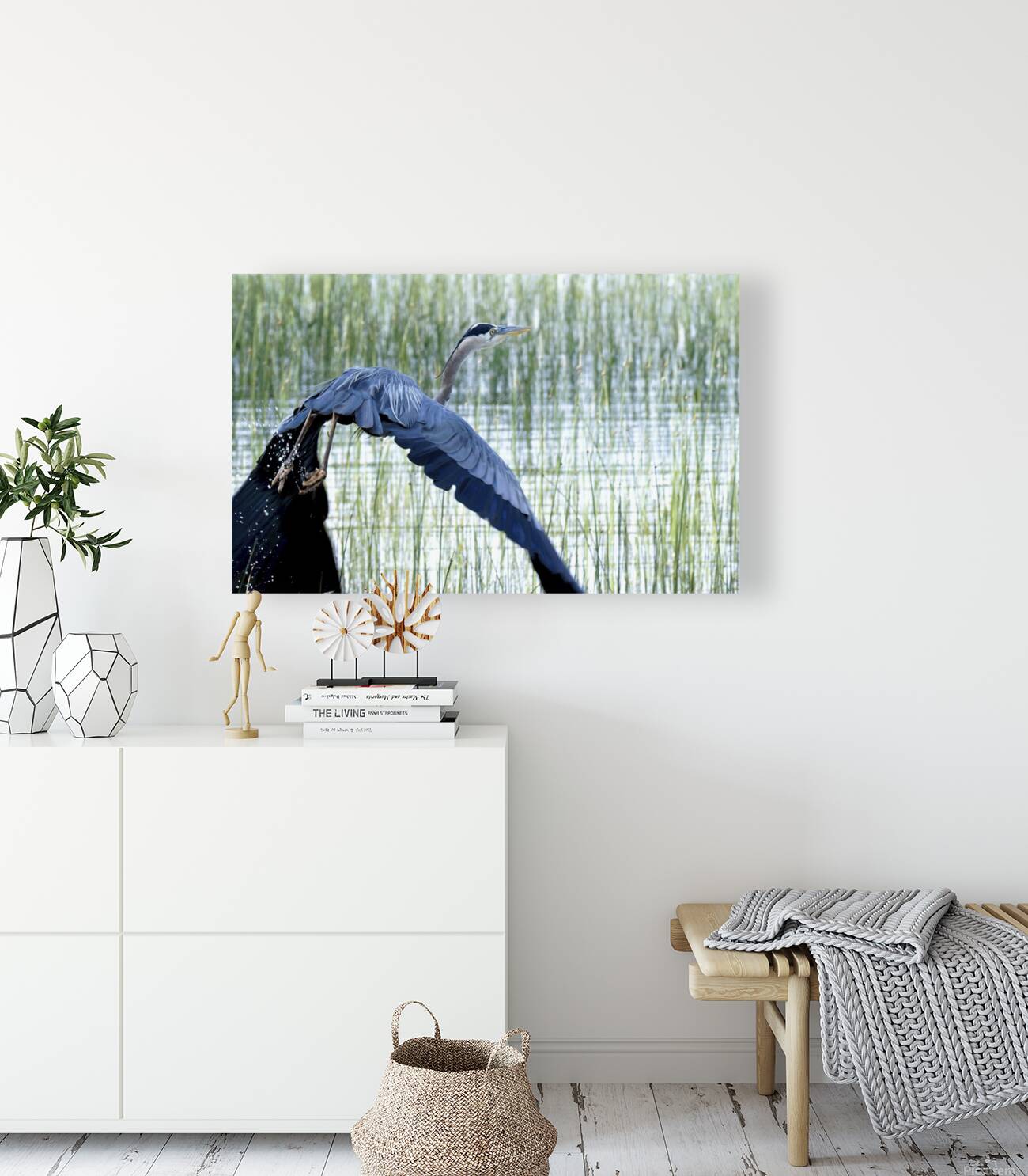 Bird Photography    Reproduction