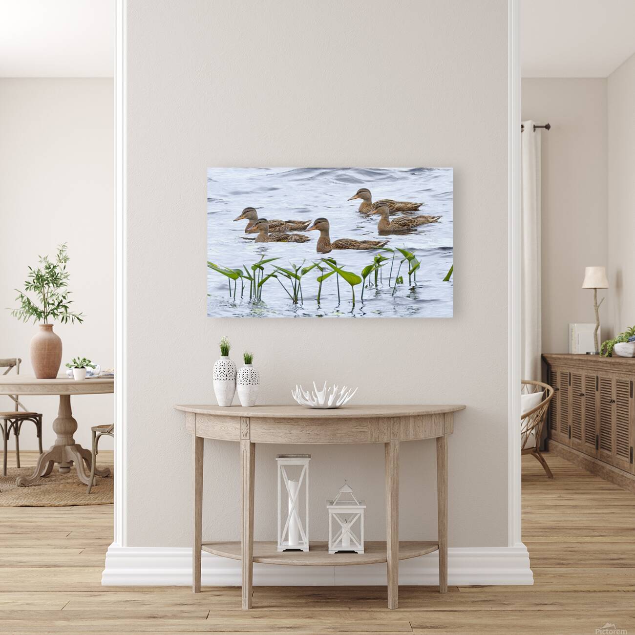 Bird Photography    Reproduction