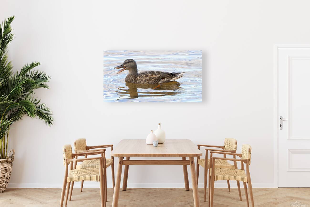 Bird Photography    Reproduction