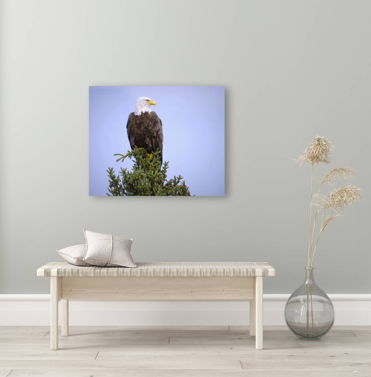 Bird Photography    Reproduction