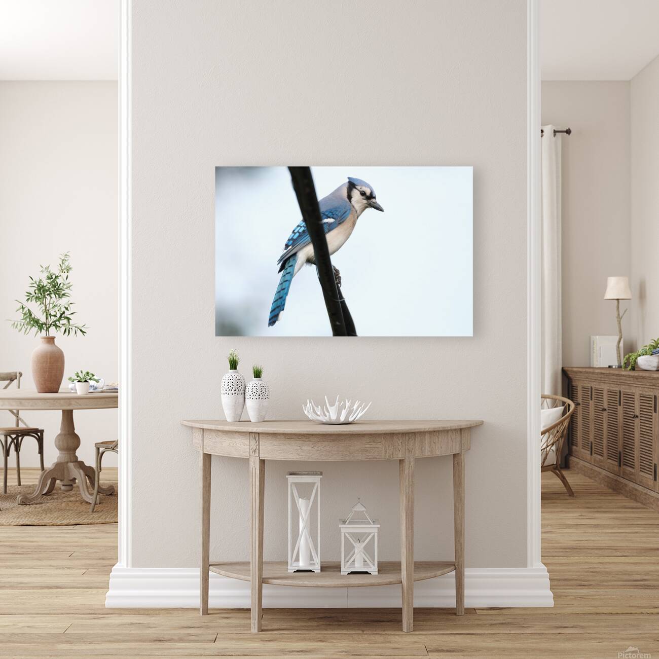 Bird Photography    Reproduction