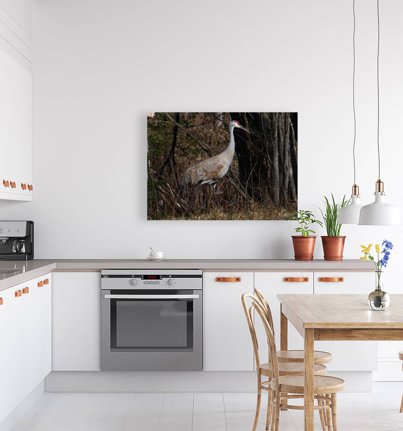 Bird Photography    Reproduction
