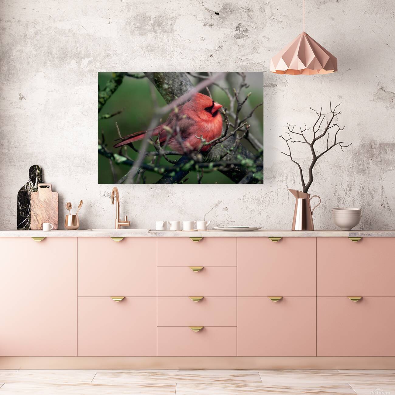 Bird Photography    Reproduction