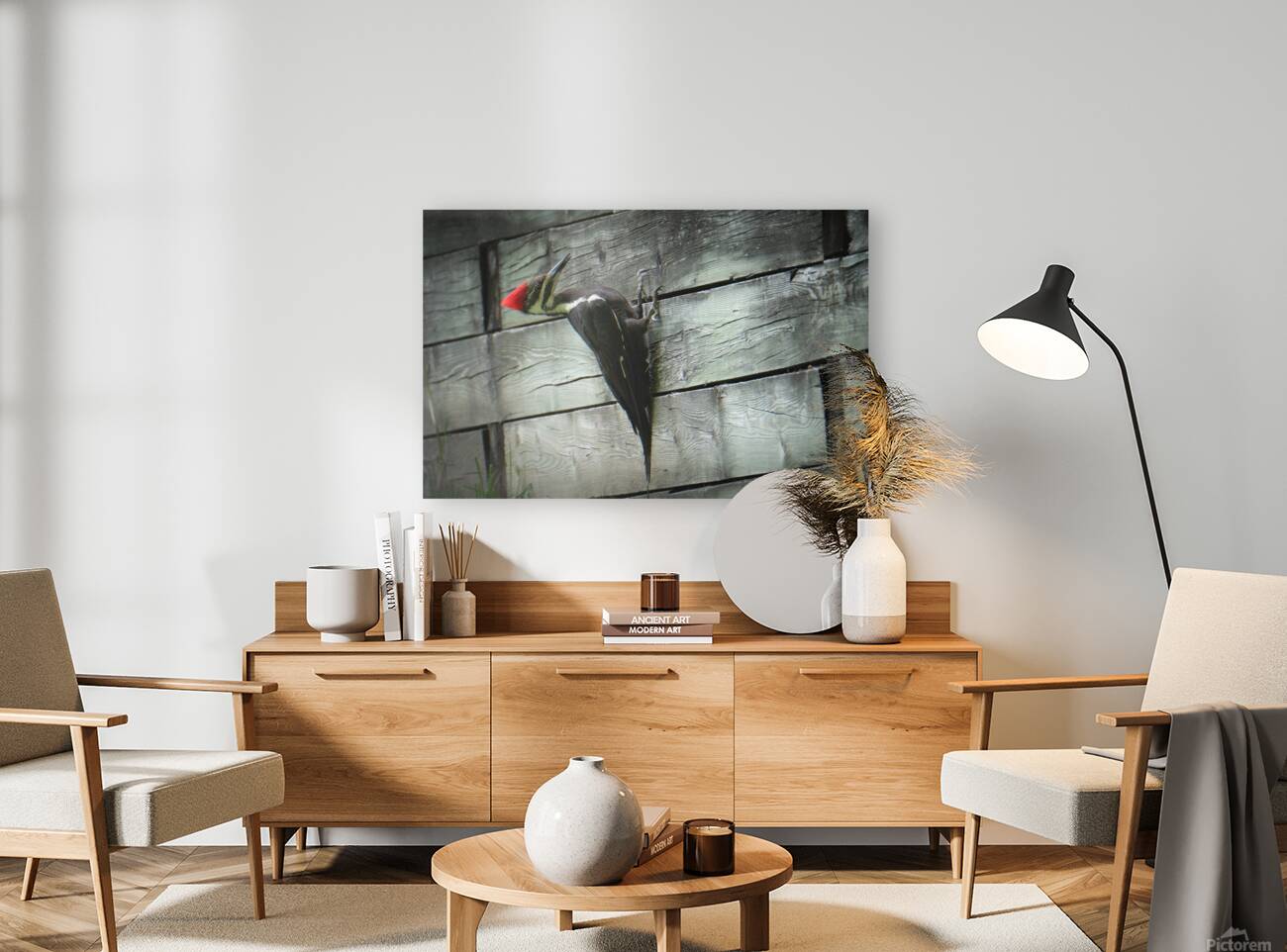 Bird Photography    Reproduction