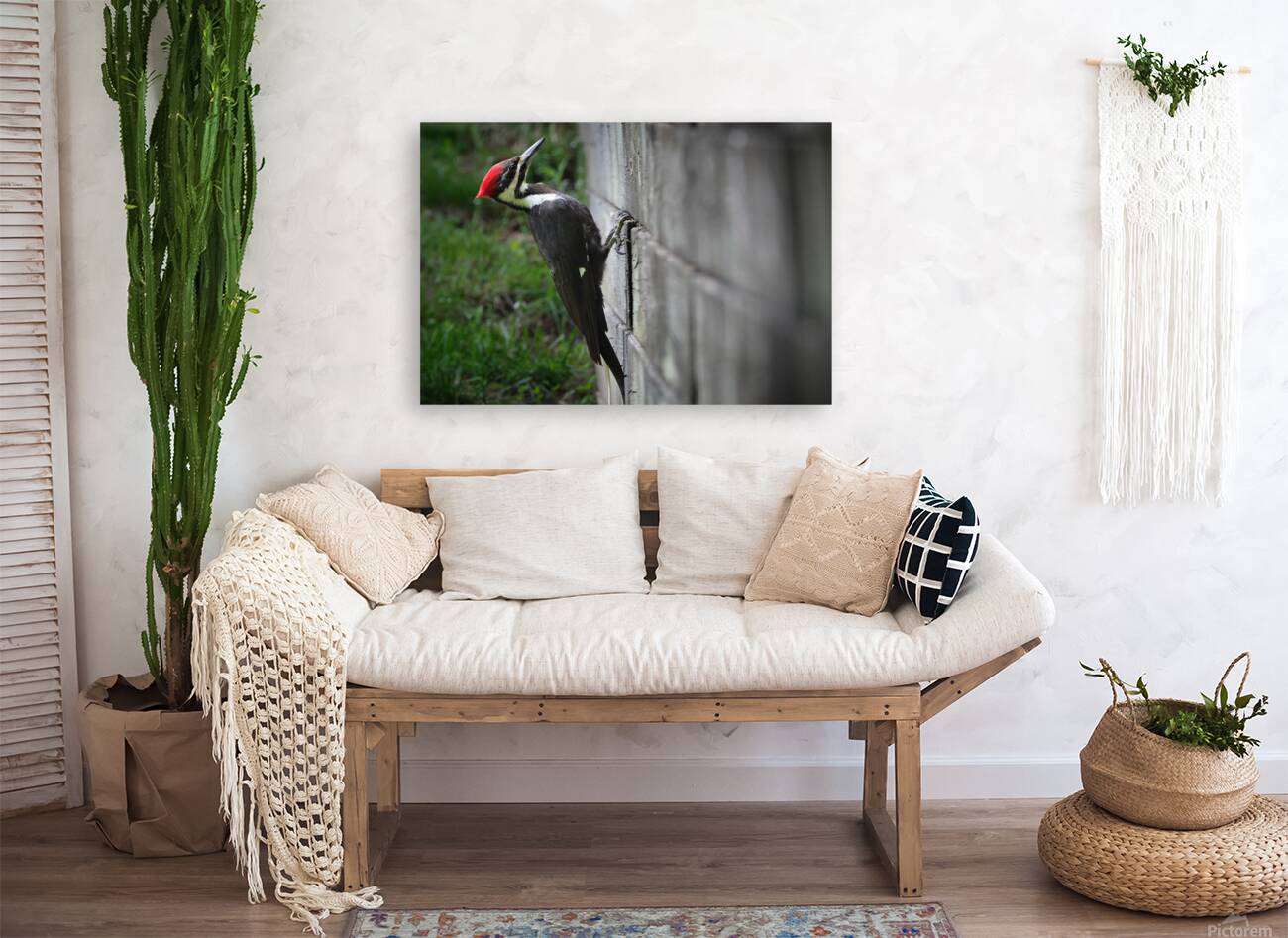 Bird Photography    Reproduction