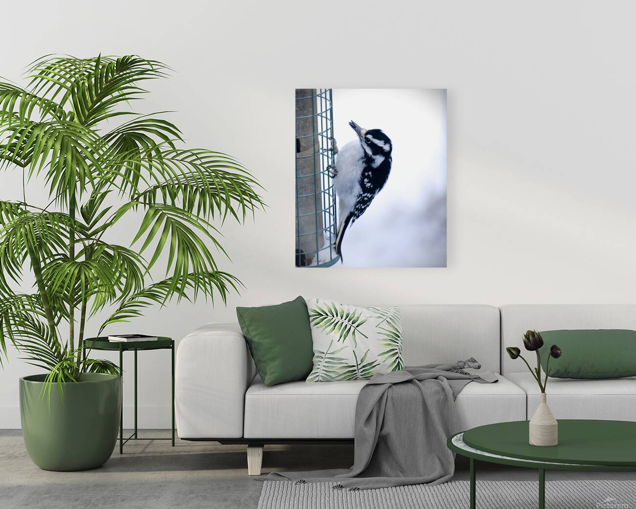Bird Photography    Reproduction
