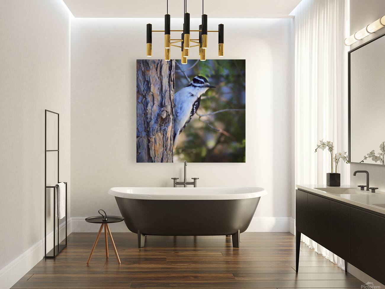 Bird Photography    Reproduction