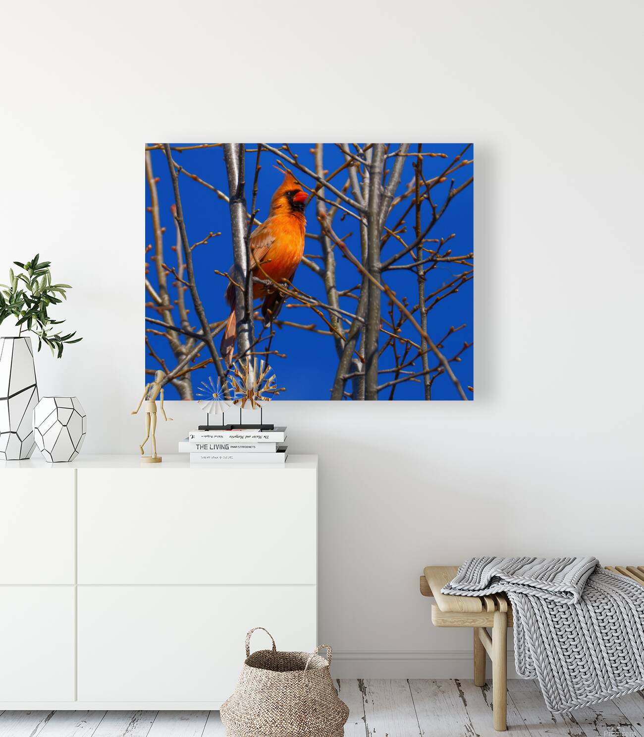 Bird Photography    Reproduction