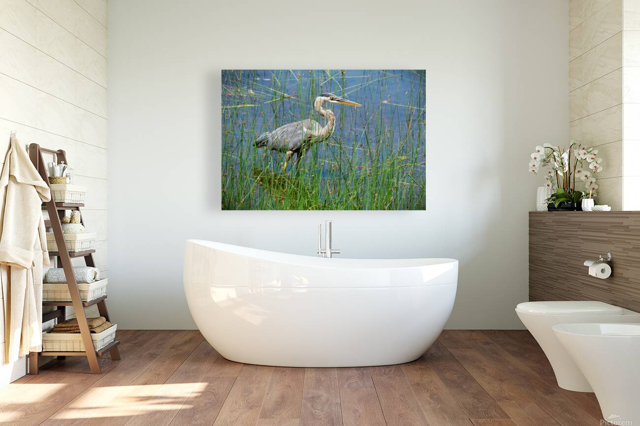Bird Photography    Reproduction