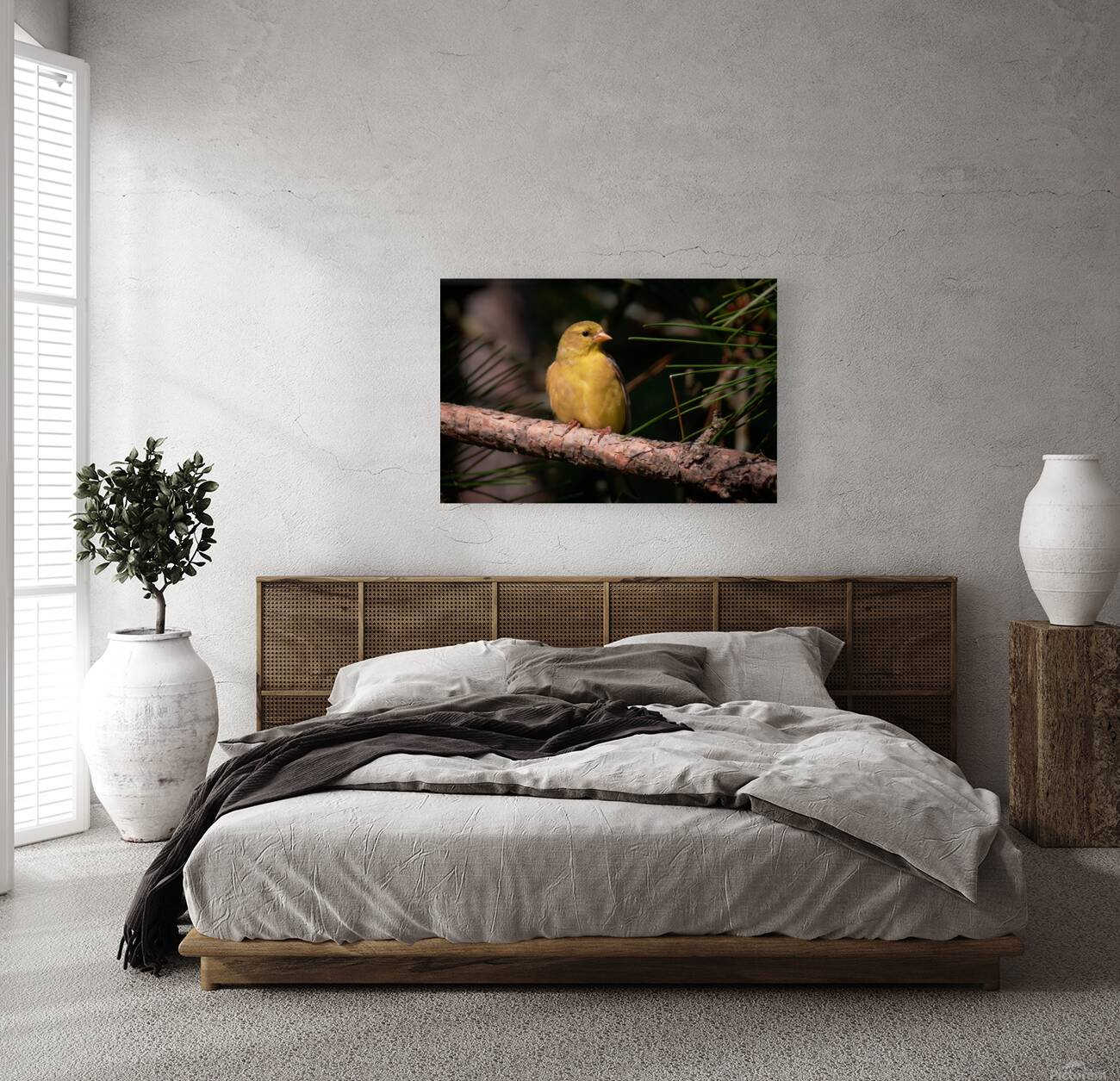Bird Photography    Reproduction
