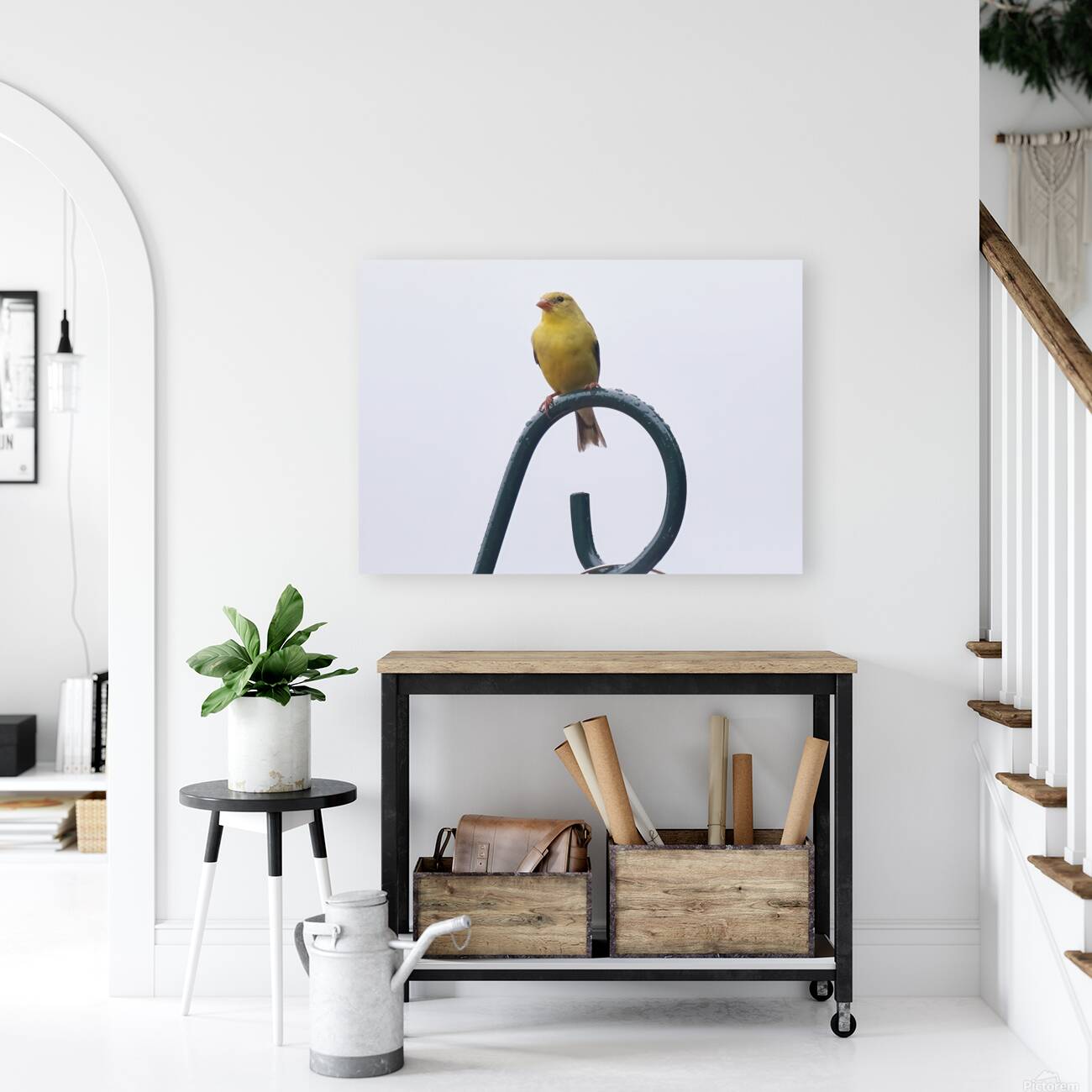 Bird Photography    Reproduction