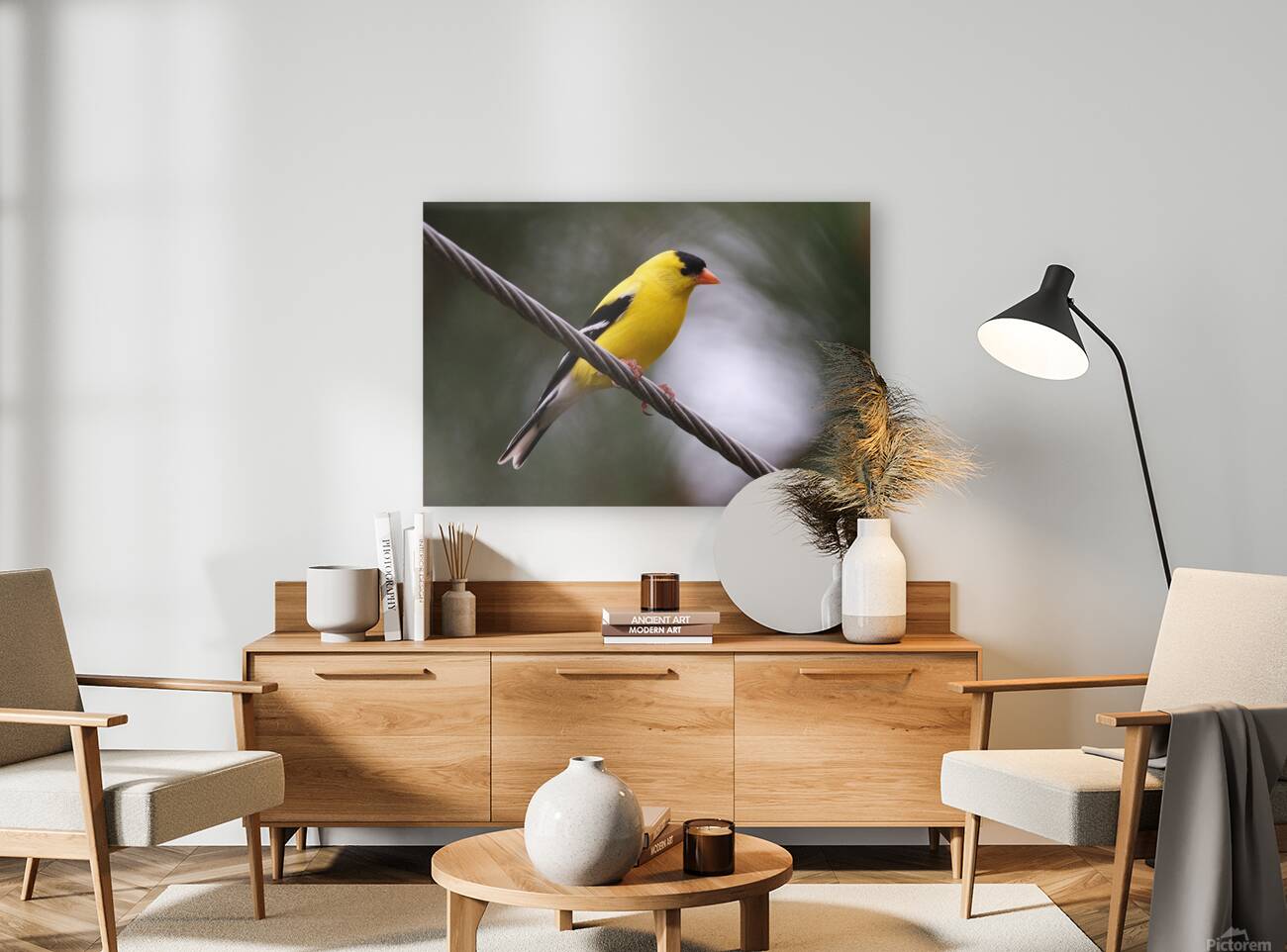 Bird Photography    Reproduction