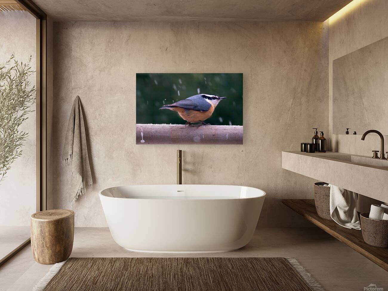 Bird Photography    Reproduction