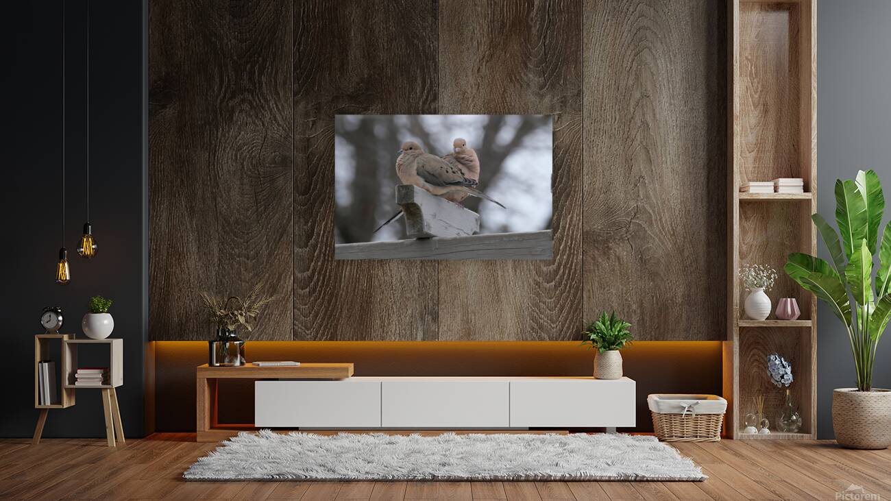 Bird Photography    Reproduction