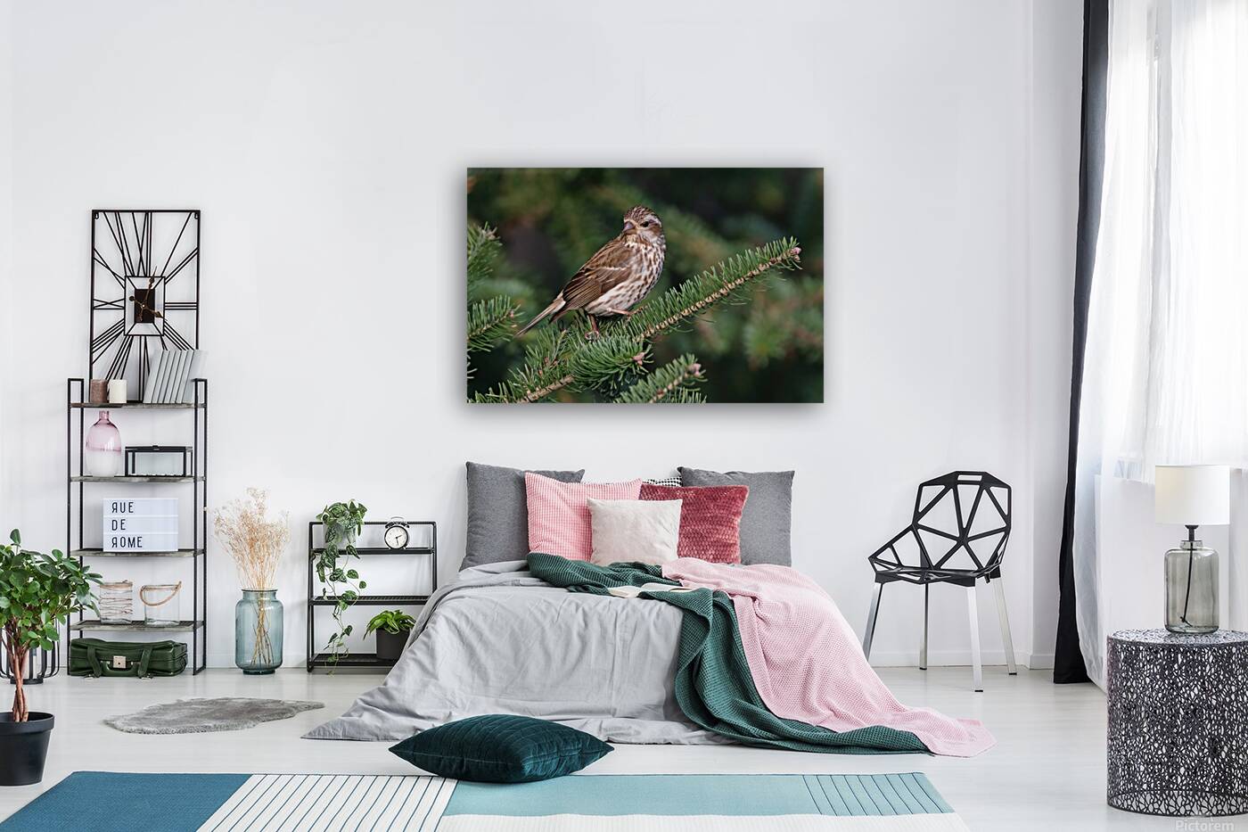 Bird Photography    Reproduction