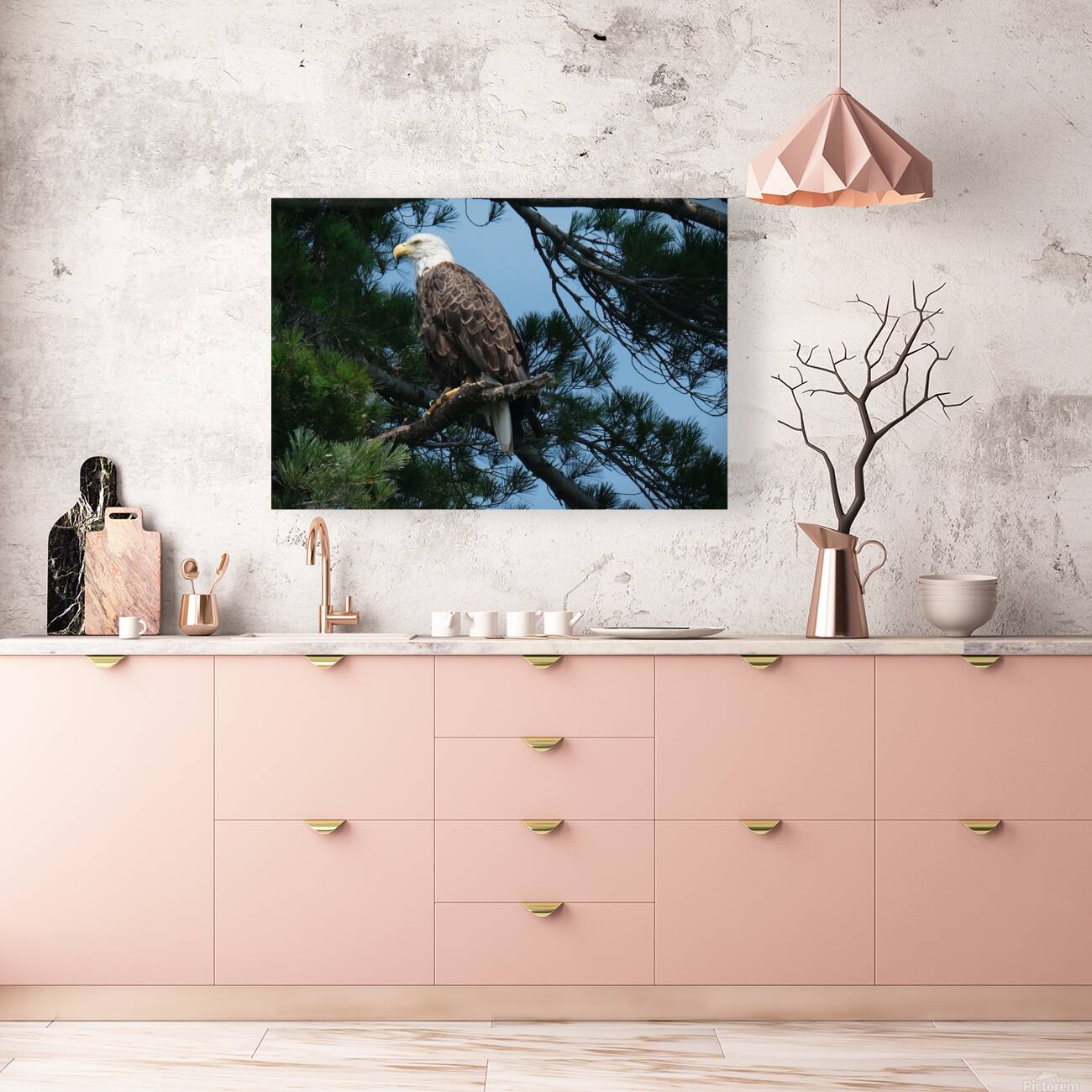 Bird Photography    Reproduction