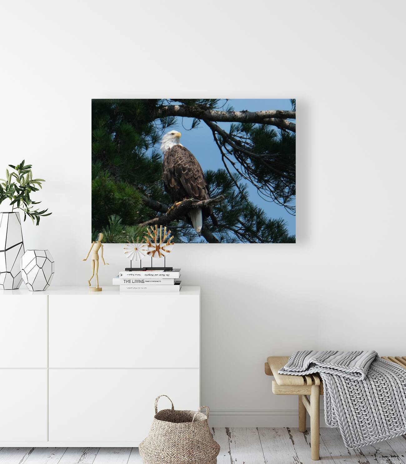 Bird Photography    Reproduction