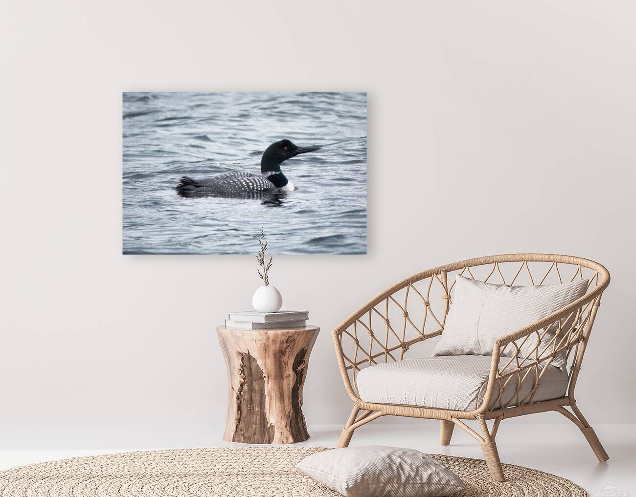 Bird Photography    Reproduction
