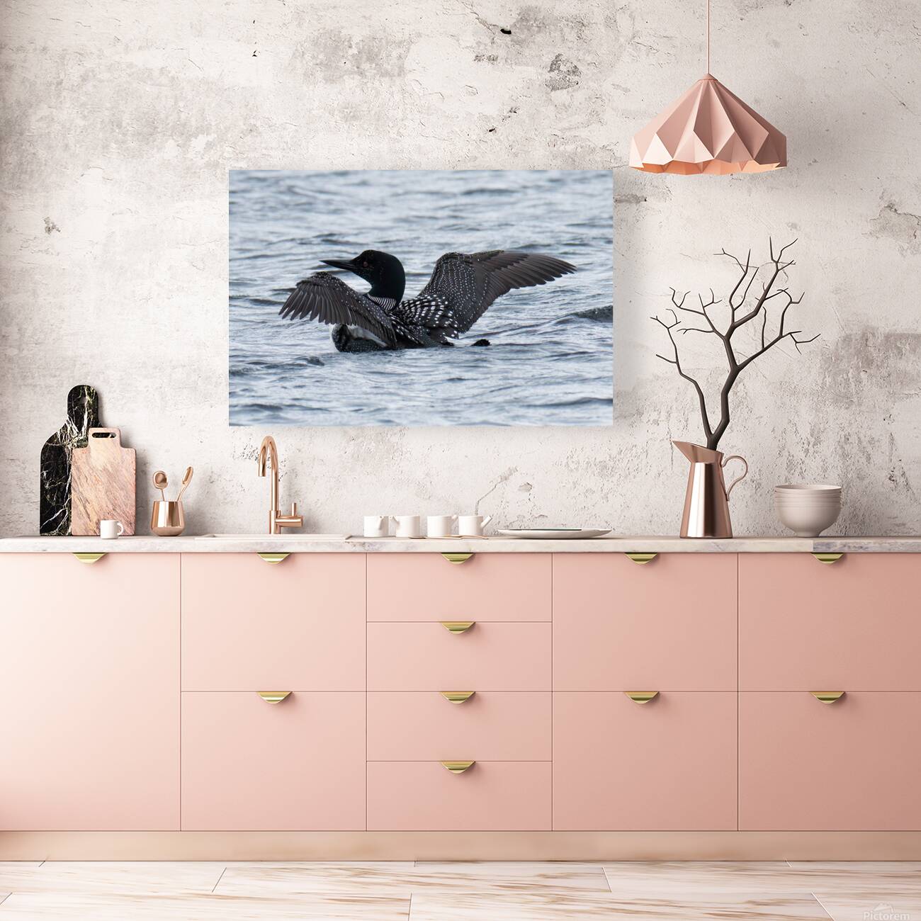 Bird Photography    Reproduction
