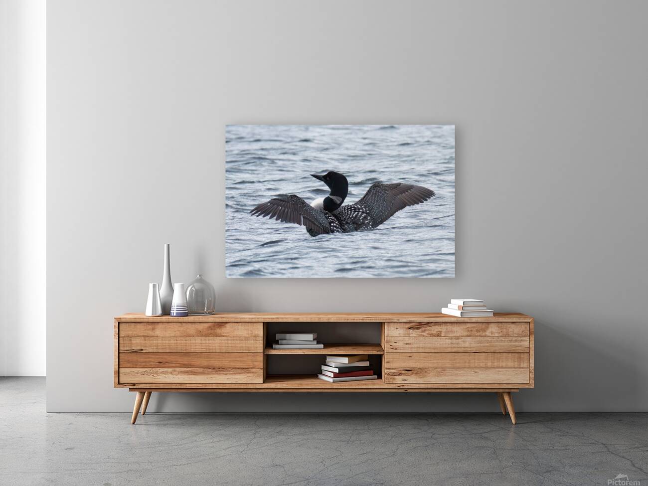 Bird Photography    Reproduction