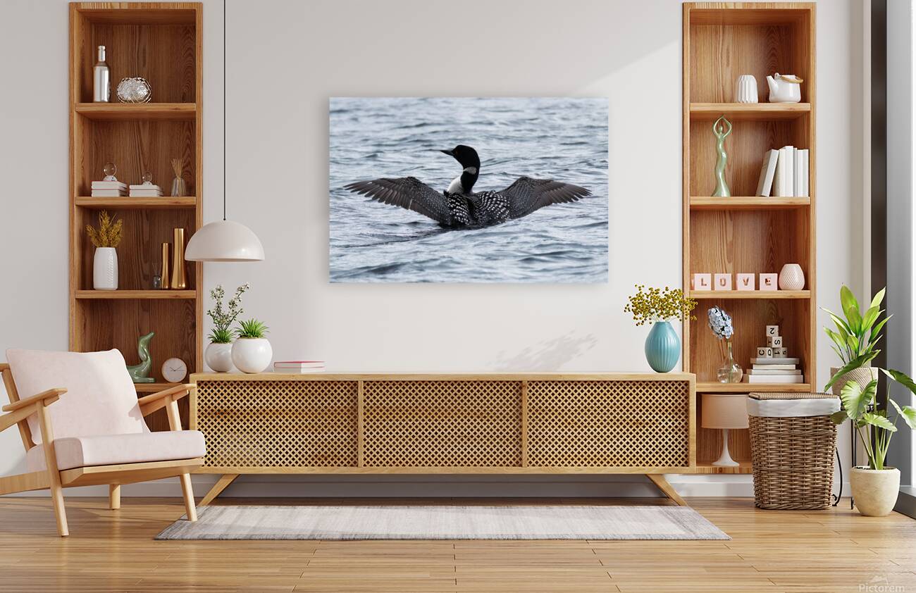 Bird Photography    Reproduction