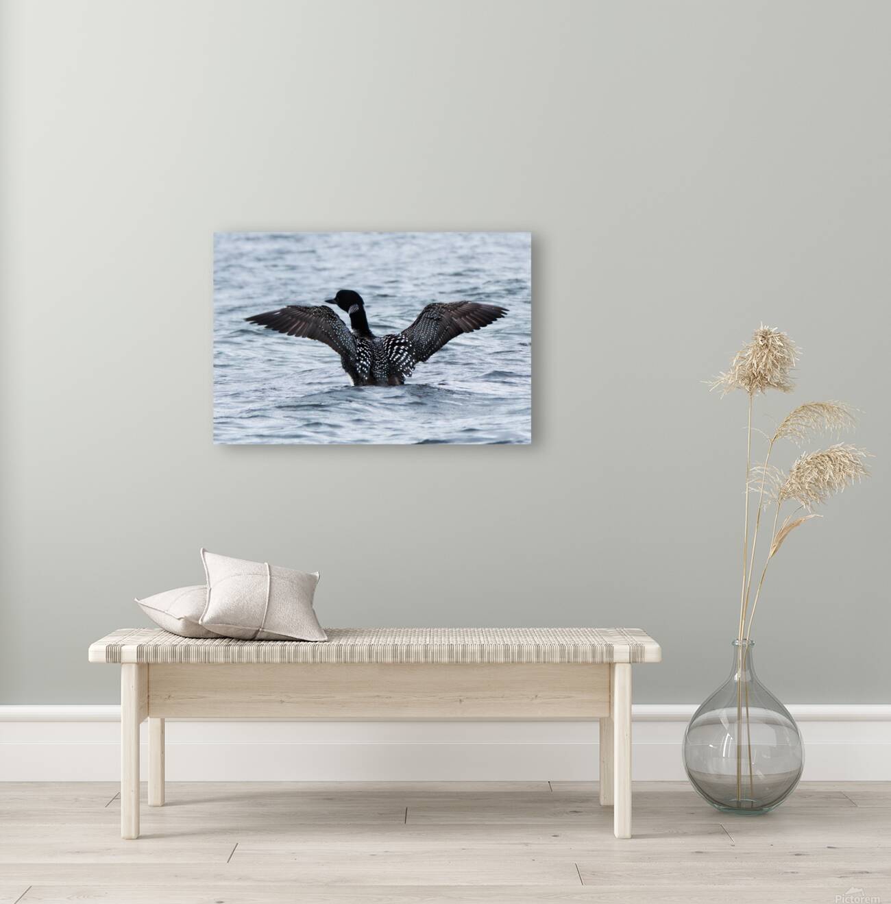Bird Photography    Reproduction