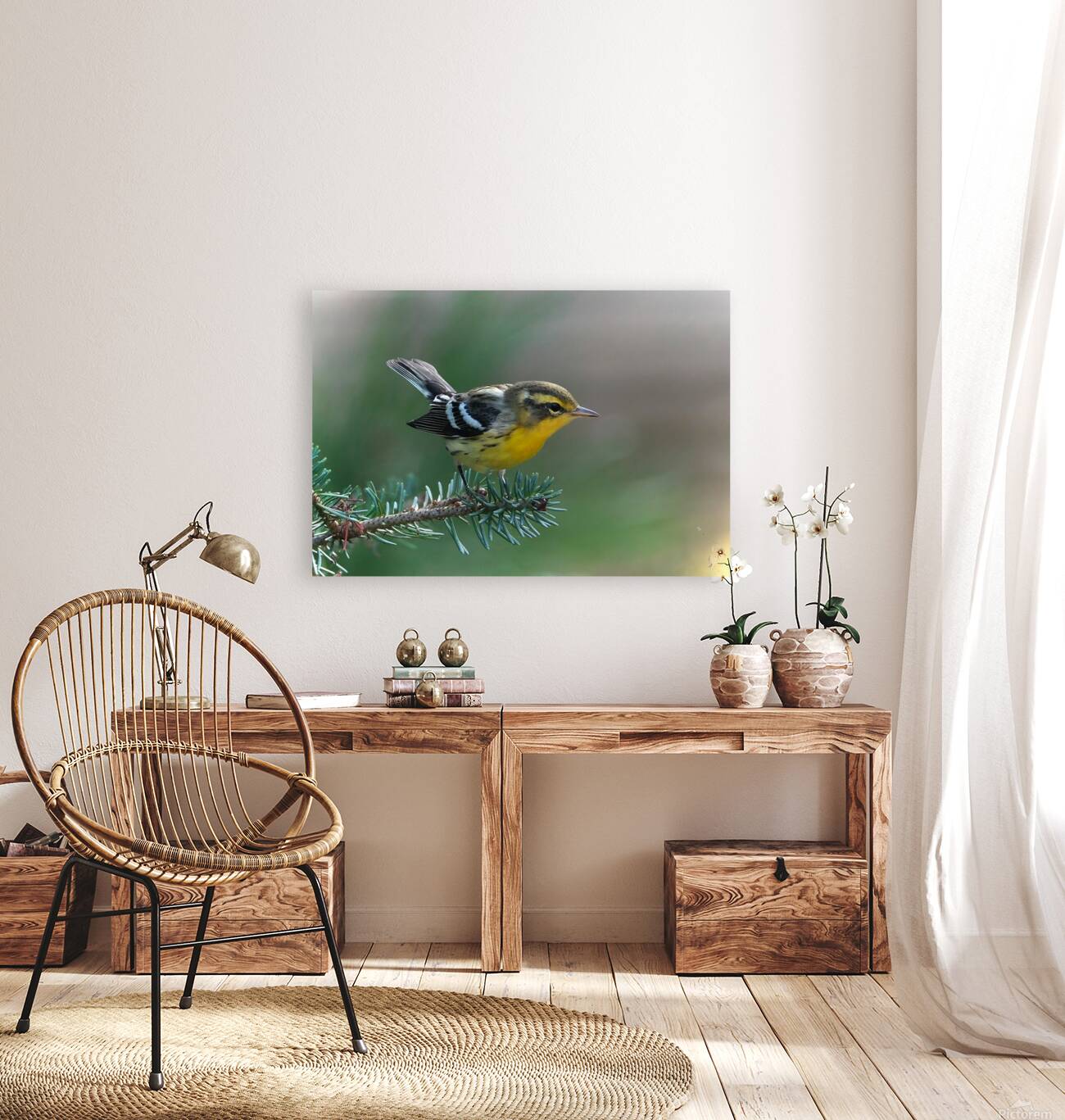 Bird Photography    Reproduction