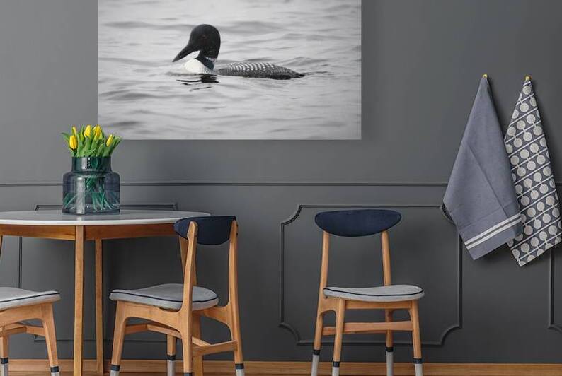 Bird Photography    Reproduction