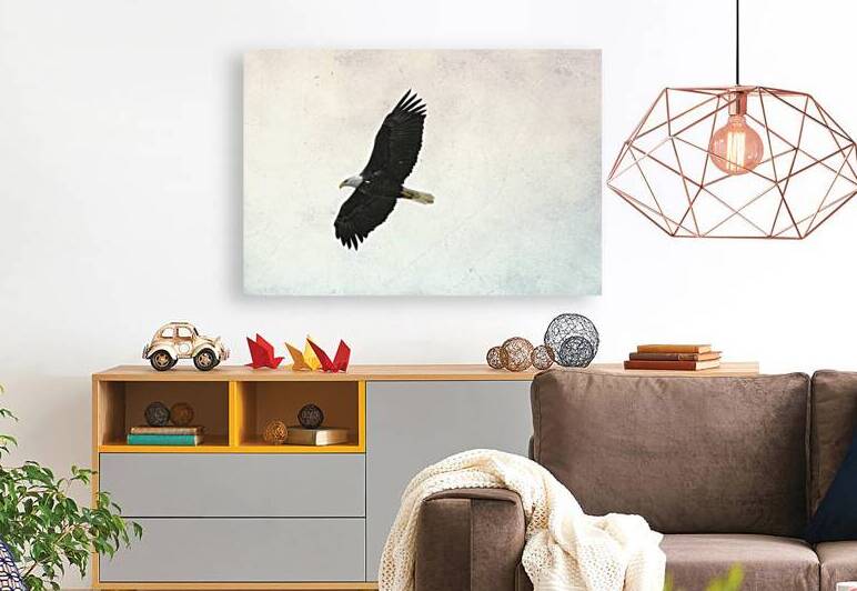 Bird Photography    Reproduction