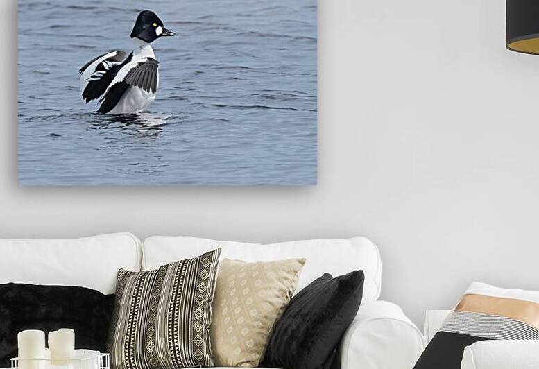 Bird Photography    by Arnie Naiman