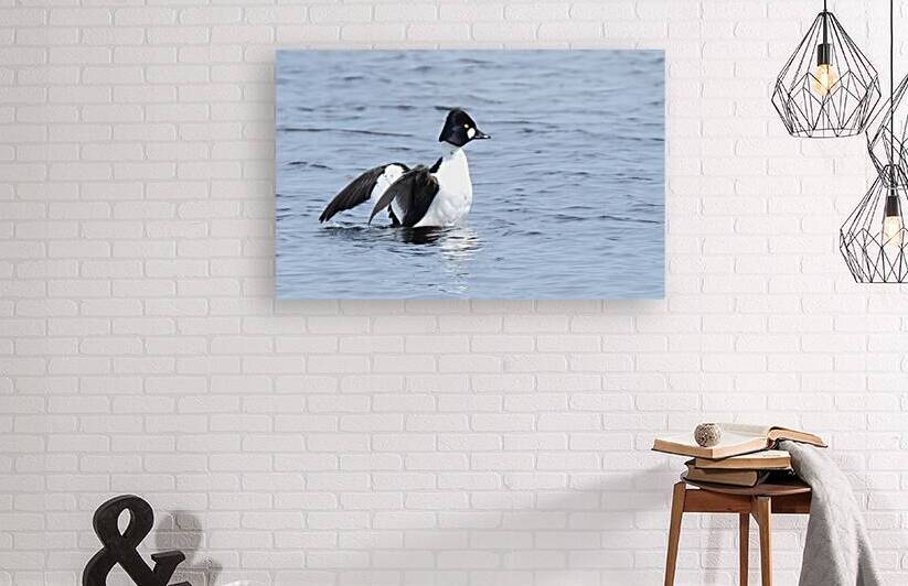 Bird Photography    by Arnie Naiman