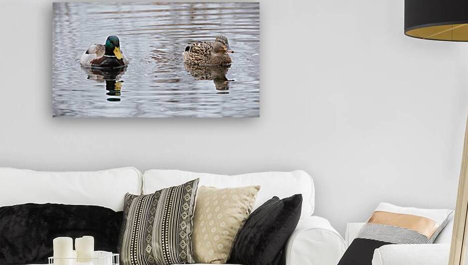 Bird Photography    Reproduction