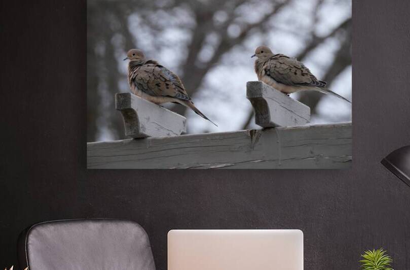 Bird Photography    by Arnie Naiman