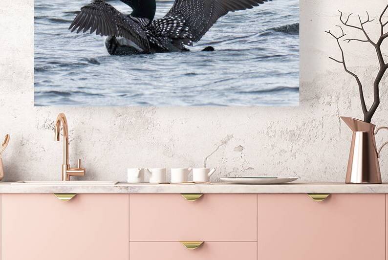 Bird Photography    Reproduction
